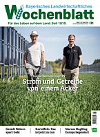 Schnupper-Abo verschenken