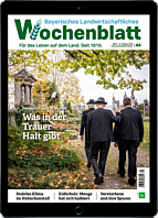 Persönliches Abo E-Paper