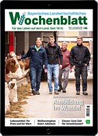 Persönliches Abo E-Paper