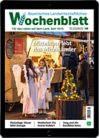 Schnupper-Abo E-Paper