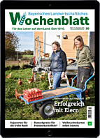 Geschenk-Abo E-Paper