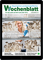 Schnupper-Abo E-Paper