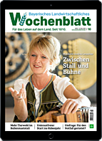 Persönliches Abo E-Paper