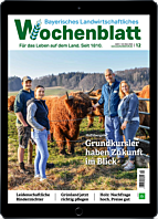 Schnupper-Abo E-Paper