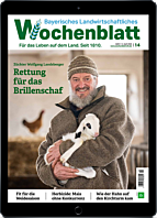 Schnupper-Abo E-Paper