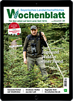 Schnupper-Abo E-Paper