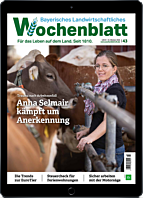 Weihnachts-Geschenk-Abo E-Paper