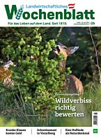 Geschenk-Abo