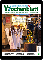 Geschenk-Abo E-Paper