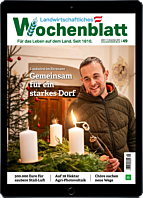 Schnupper-Abo E-Paper