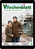 Schnupper-Abo E-Paper