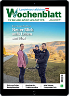 Schnupper-Abo E-Paper