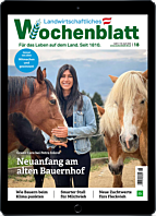 Schnupper-Abo E-Paper