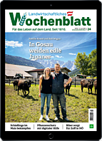 Persönliches Abo E-Paper