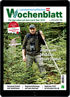Schnupper-Abo E-Paper