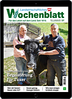Schnupper-Abo E-Paper