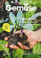 Persönliches Abo