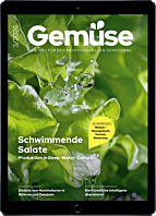 Persönliches Abo E-Paper