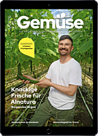 Persönliches Abo E-Paper