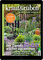 E-Paper-Geschenk-Abo
