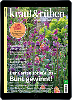 E-Paper-Geschenk-Abo