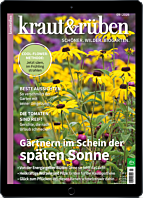 E-Paper-Geschenk-Abo
