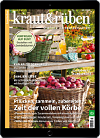 E-Paper-Geschenk-Abo