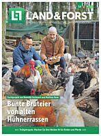 Schnupper-Abo Plus-Paket