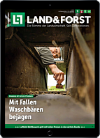 Persönliches Abo Weihnachtspaket E-Paper