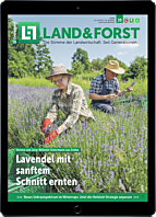 Oster-Abo E-Paper für Sie