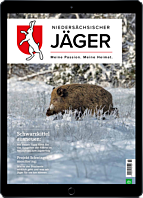 Schnupper-Abo digital