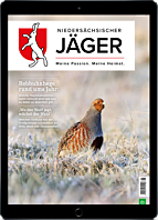 Persönliches Abo E-Paper