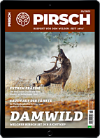 Schnupper-Abo digital