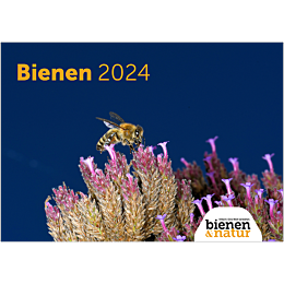 Wandkalender Bienen 2024