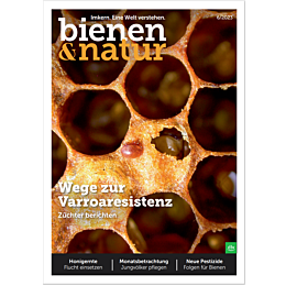 bienen&natur Ausgabe 06/2023