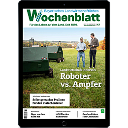 Digitale Ausgabe Probelesen für 1,- €