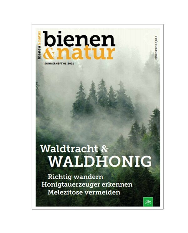 bienen&natur Sonderheft 01/21 Waldtracht und Waldhonig