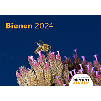 Wandkalender Bienen 2024
